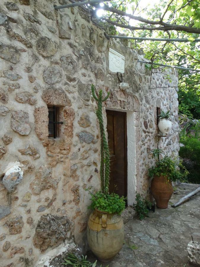 Nikos House Apartment Zekros Exterior photo